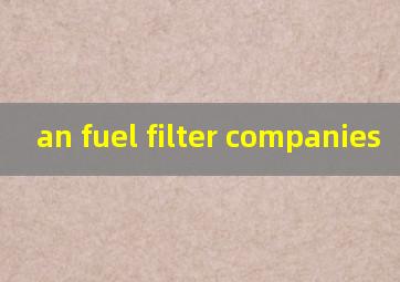 an fuel filter companies